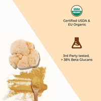 Extrait naturel d'Hericium Erinaceus, poudre de champignon crinière de lion biologique de qualité alimentaire, 10%-50% de polysaccharides, emballage en fût