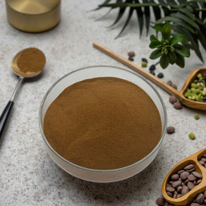 工場供給卸売価格 ニラ種子エキス 玉ねぎエキス粉末 - Product Image 5