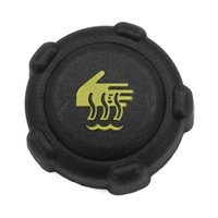 Bouchon de réservoir d'expansion de liquide de refroidissement, bouchon de radiateur 8200048024 770080513 pour Renault Arkana Vel Satis Alpine A110