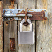 Haute sécurité en acier inoxydable manille Blossom Lock Lockout Tagout cadenas pour industriel