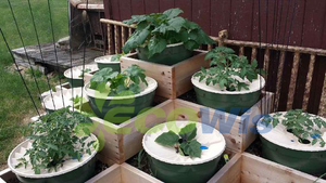 Irrigation <span class=keywords><strong>Arrosage</strong></span> Croissance Plantation Légumes Système d'<span class=keywords><strong>arrosage</strong></span> <span class=keywords><strong>automatique</strong></span> Plante Racine Irrigation Boîte d'<span class=keywords><strong>arrosage</strong></span> Conteneur - Product Image 2