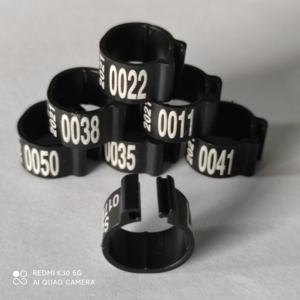 001-100 numerato 8MM fasce per gambe in plastica per uccelli gallina piccione anelli per piedi pulcini anelli per pappagalli per pappagallo - Product Image 5