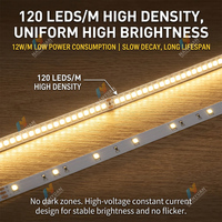 Bandes lumineuses LED, ruban LED, lumières LED, 220V, branchement direct, 8mm, 120 LED/m, CRI élevé Ra80, 12W/m, éclairage de placard, lumières LED DDID