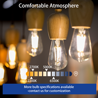 Ampoule LED à filament de verre ST19/ST58 à culot B22/E26/E27, 4W, dimmable, température de couleur 2200K-6000K, IRC 90, pour une utilisation multi-scènes