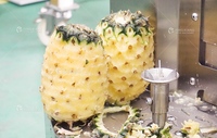 FXP-66 een gloednieuwe automatische machine voor het pellen van oude kokosnoten, ananas en Hami-meloenen