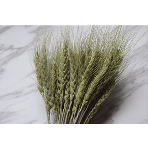 Roses séchées naturelles Blé Usage domestique Mariage Saint Valentin Arrangements de fête des pères Décorations de chambre Bouquet de fleurs fait main - Product Image 4