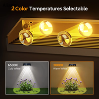 Lampe LED solaire étanche IP65 à 3 modes pour clôture, terrasse, mur, extérieur, jardin, cour, escalier, piscine, patio, porche, décorative Alison Light