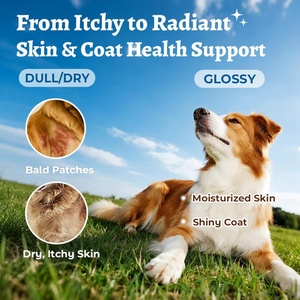 Suplementos de Aceite de Pescado Omega 3 6 9 en Gomitas Blandas de Marca Privada ODM, Ricos en EPA y DHA, Vitaminas C y E, Alivio de Alergias - Product Image 2