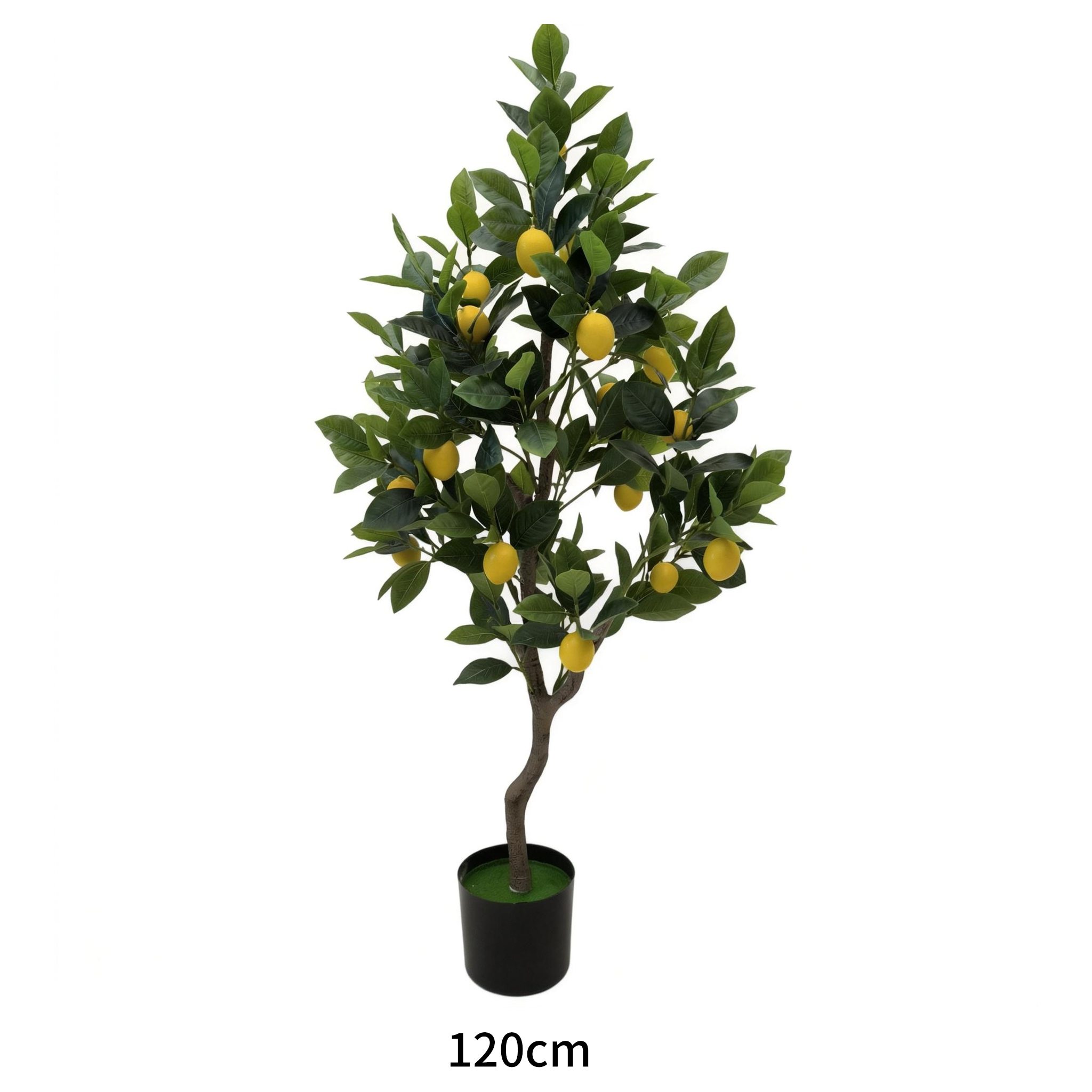 120CM