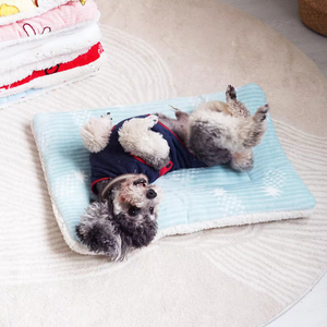 Alfombra de Lujo para Mascotas, Diseño Moderno con Dibujos Animados, Ecológica, Resistente al Frío Invernal, para Perros y Gatos - Product Image 4