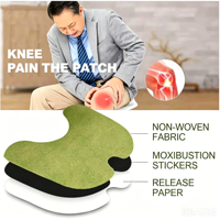 Parche Natural de Hierbas de Ajenjo y Jengibre para Alivio del Dolor de Rodilla, Tela No Tejida, Tamaño 10cm*13cm, OEM Disponible