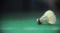 Accessoires de Badminton d'intérieur et d'extérieur, en plastique, blanc,