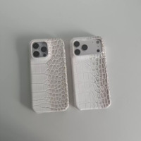Peau Internet Célébrité Serpent Motif Lézard Motif Téléphone Cas En Cuir Crocodile Motif Téléphone Cas pour iPhone 17 16 Pro Max