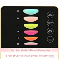 Lot de 6 recourbe-cils arc-en-ciel en silicone multicolores pour tous types de cils