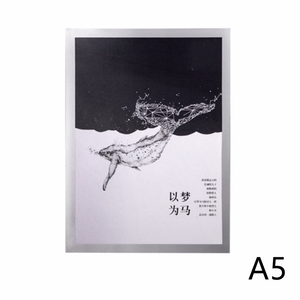 Custom Color <b>A3</b> A5 A6 Display Hanging Modern Plastic Certificate Magnetic <b>Frame</b> - Product Image 5