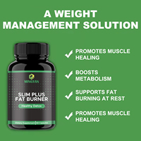 Capsules brûle-graisses Slim Plus personnalisées avec logo d'usine, pour adultes, 60 capsules