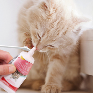 Usine en gros 3 en 1 saveurs de boeuf <span class=keywords><strong>chat</strong></span> brosse à dents dentifrice Pet Kit dentaire chien brosse à dents - Product Image 2