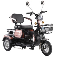 Nouveau Tricycle Électrique à 3 Roues pour Adultes, 60V 800W, 2 Places avec Panier, Idéal pour les Terrains de Golf et les Trajets Urbains - Vente Flash