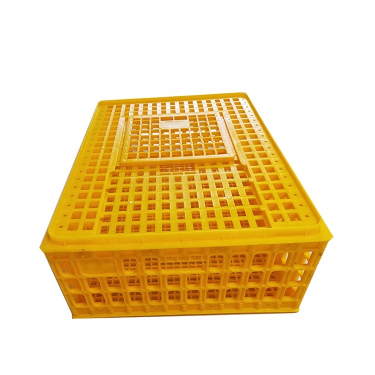 Poultry Breeding Farming Egg laying Cage