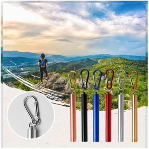 Boba <b>Drinking</b> <b>Straws</b> Retractable Telescopic Collapsible 18/8 18/10 Stainless Steel Drinkware Accessories - Product Image 6