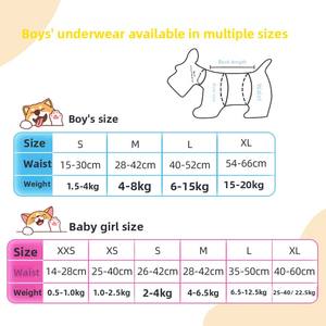 חיתולי כלבים ומכנסי טדי ידידותיים לסביבה, ספיגה יבשה, לנקבות וכלבלבים, ציוד לחיות מחמד - Product Image 2