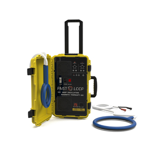 Equipo Portátil de Magnetoterapia PMST PEMF para Equinos, Reduce la Inflamación, Acelera la Curación de Fracturas, para Caballos de Carrera y Establos - Product Image 4