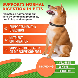 Gotas Herbales Probióticas para Perros OEM, Refuerzo Digestivo e Inmunológico, Gotas Líquidas Probióticas para el Sistema Inmunitario, Suplementos para la Salud de las Mascotas - Product Image 5