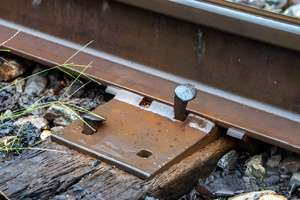 犬のネイルトラック犬のスパイクM8*80 M10 * 100 M12 * 120 M14 * 130 M16 * 165 - Product Image 2