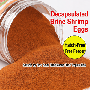 Uova di Artemia Schiuse, Cibo per Pesci Guppy e Betta, Senza Guscio, Alimento Iniziale di Piccole Dimensioni, Potenziatore del Colore per Pesci Tropicali d'Acquario - Product Image 5