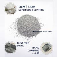 Lettiera per Gatti in Bentonite Frantumata Personalizzata OEM ODM, Alta Assorbenza, Solidificazione Rapida, Antibatterica, Basso Contenuto di Polvere, 5kg