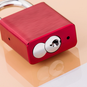 Candado de Seguridad Reforzado de Aleación de Aluminio Antirrobo con Teclado, Color Rojo/Verde, Venta al Por Mayor de Fábrica - Product Image 6