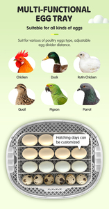 Новый автоматический мотор-противоточный для инкубатора на 16 яиц WONEGG для куриных и индюшачьих яиц, цена, инкубатор для птицы - Product Image 5