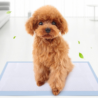 Fabricant en gros de coussinets d'apprentissage jetables extra larges pour chiens et chiots