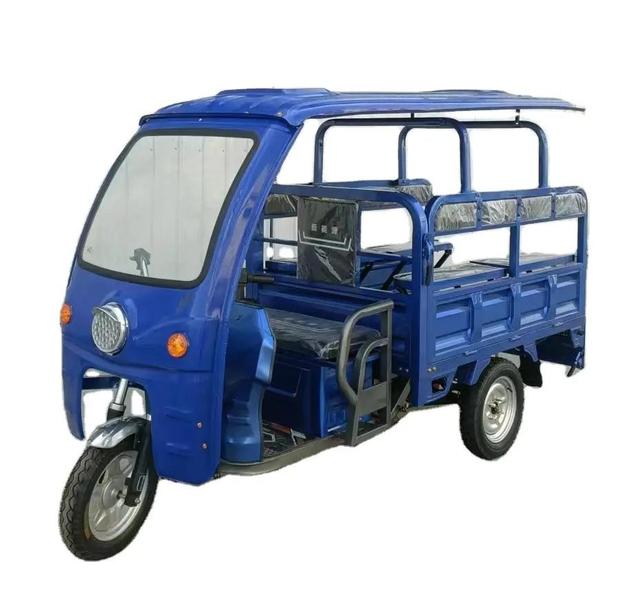 Multi-functional Electric Cargo Tricycle 3 Wheels 1000w Motorized Tricycles for Adults Leisure Electric Tricycle