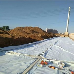 Dài và ngắn sợi vải lọc cách ly tăng cường Composite Filament không dệt vải địa kỹ thuật 200g 300G 500G - Product Image 2