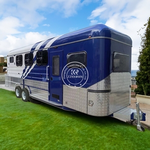 Remorque de transport pour chevaux miniatures américains 2025, remorque de transport pour 2 chevaux à vendre - Product Image 4