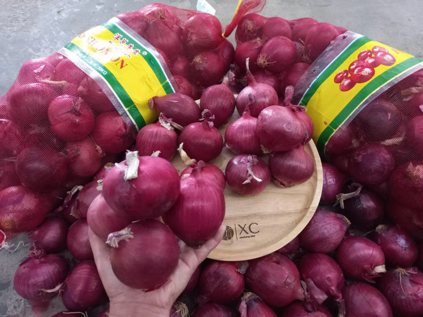 Frische indische Große Zwiebel für Export Vietnam Malaysia Singapur rote frische Zwiebeln