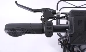 20 인치 전면 캐리어 바구니 프레임 장착 배터리 중국 일본 바이퍼 지방 타이어 접이식 스노우 전기 쿼드 자전거 판매