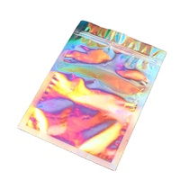 Personnalisé refermable transparent cosmétique holographique emballage sac pochette holographique ziplock sac auto-adhésif maquillage fermeture éclair sac