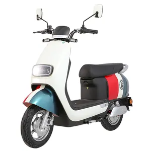 2023 New Listing 800W Electric Scooter Bikes 45km/h Electric Motorcycle Scooter