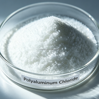 Chlorure de polyaluminium blanc de haute pureté PAC pour le traitement de l'eau