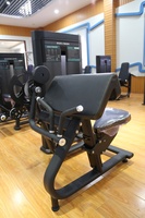 Machine à biceps et triceps DFT Fitness DFT-E690, pile de poids de 100 kg, construction en acier, réglable, durable, universelle