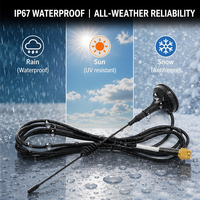 Antena Magnética LoRa de 433MHz, Alta Ganancia 3.5dBi, Omnidireccional Vertical, Conector Roscado para Gateway IoT, Compatible con OEM Personalizado