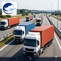 Transport de camions TIR de Khorgos vers l'Irlande, fret payé, DDP, DDU, transitaire