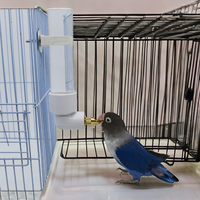 Abreuvoirs modernes pour oiseaux en plastique transparent écologique anti-fuite, capacité de 130 ml