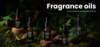 Recharge et désodorisant de luxe Spray d'ambiance Diffuseur de roseau électrique Machines à huile Parfum de maison Huiles essentielles pour diffuseurs de roseau