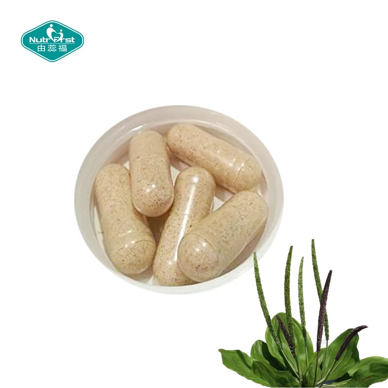 Bespoke Vegan Organic Herb Extract Whole Psyllium Husk Fiber Powder Capsules Maintain Colon Digestion Slimming
