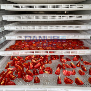 Nouvelle technologie de sécheuse à tomates, ligne de production de séchage de tomates, équipement de déshydratation de tomates - Product Image 4