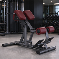 Chaise romaine professionnelle réglable pour extension dorsale et hyperextension, idéale pour les centres de fitness et la musculation