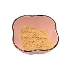 Hot Sale Good Quality Folium Ginkgo Extract/ Gingko Biloba Leaf Extract Brown Powder with Nice Price